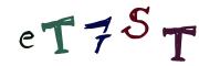 图形验证